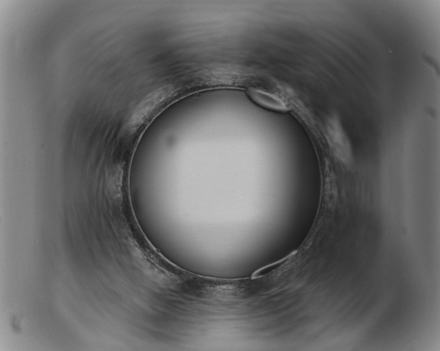 X0000103400058200809191531