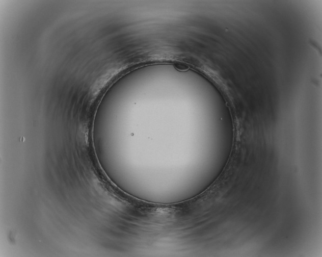 X0000103400060200809191531