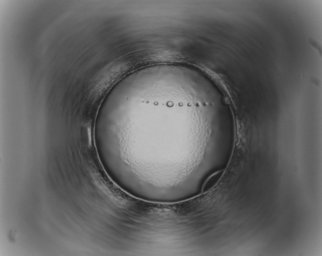 X0000103400061200809191531