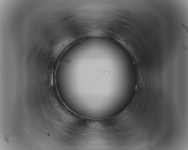 X0000103400062200809191531