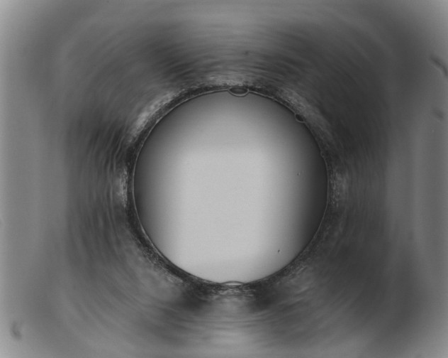 X0000103400064200809191531