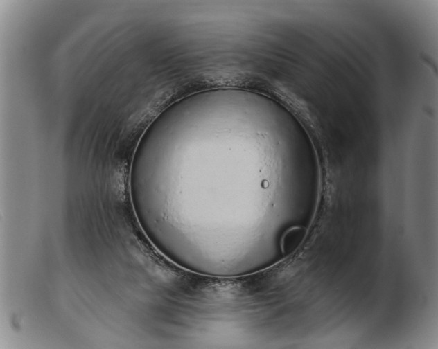 X0000103400065200809191531