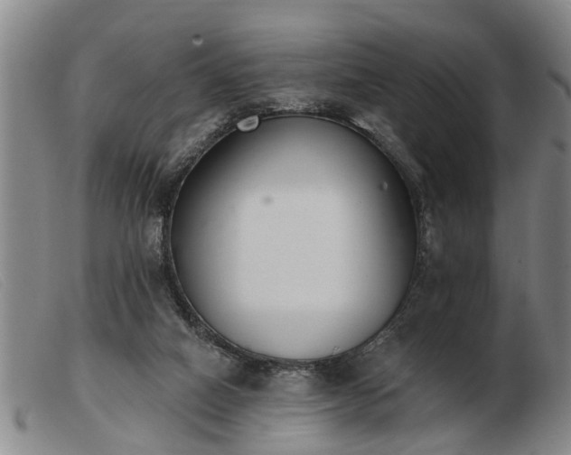 X0000103400066200809191531