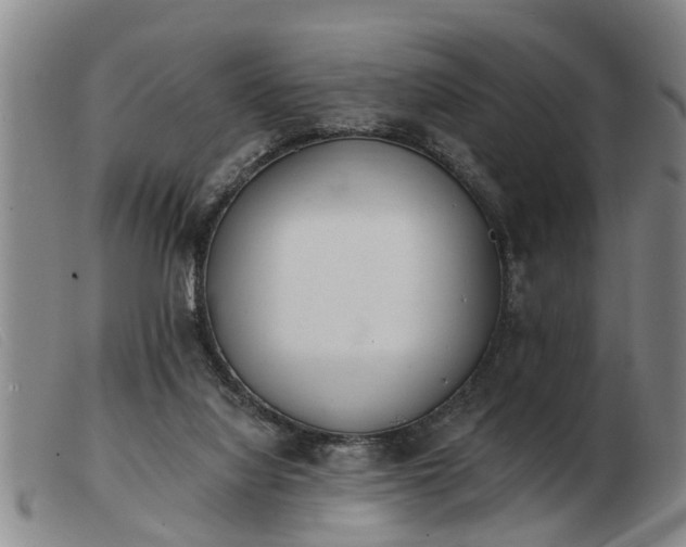 X0000103400068200809191531