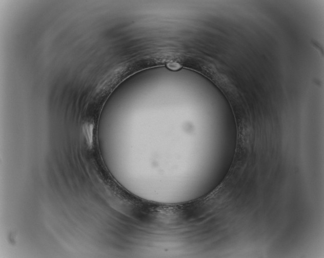 X0000103400070200809191531