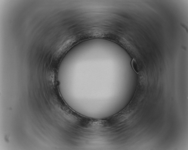 X0000103400072200809191531