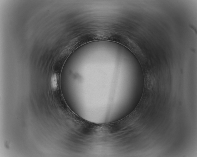 X0000103400075200809191531