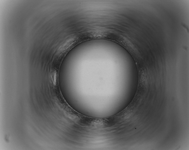 X0000103400076200809191531