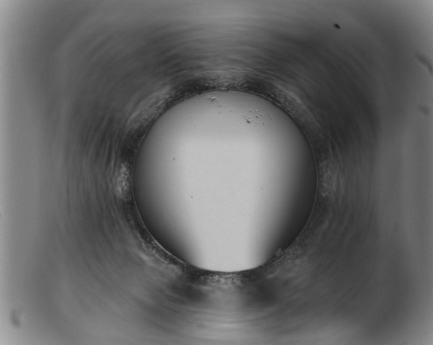 X0000103400077200809191531