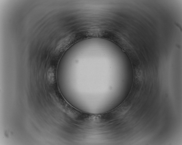 X0000103400080200809191531