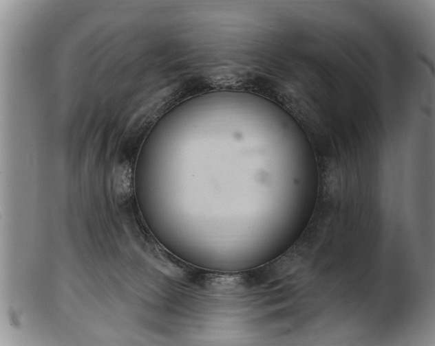 X0000103400081200809191531