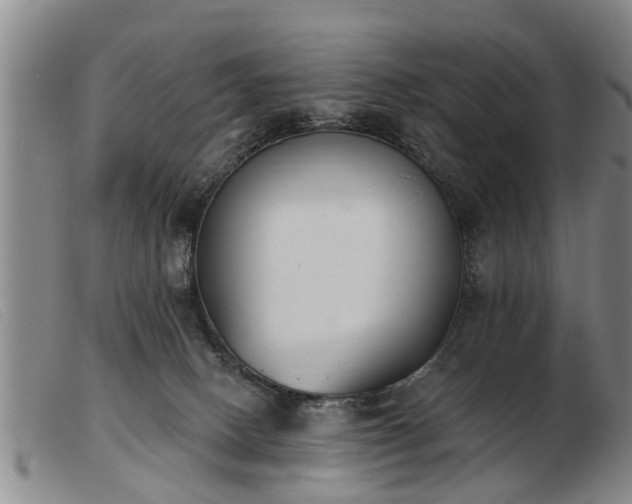 X0000103400082200809191531