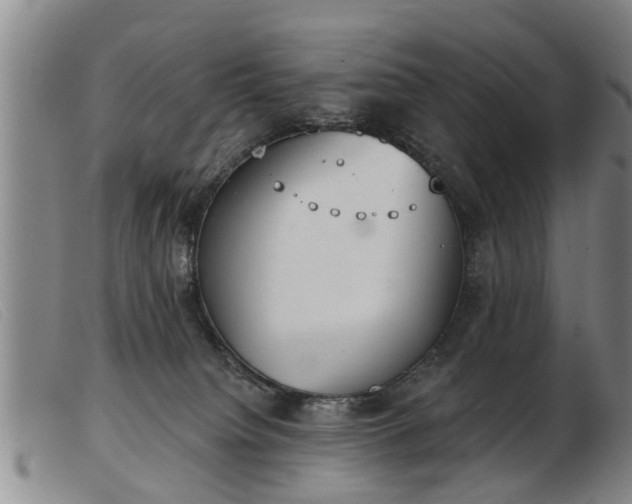 X0000103400084200809191531