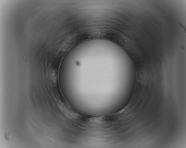 X0000103400086200809191532