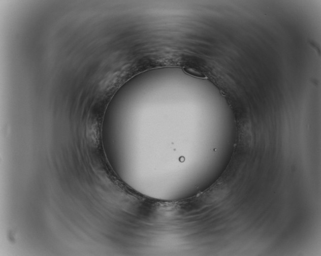 X0000103400088200809191532