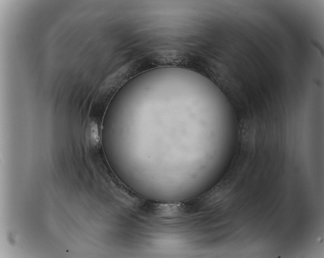 X0000103400089200809191532