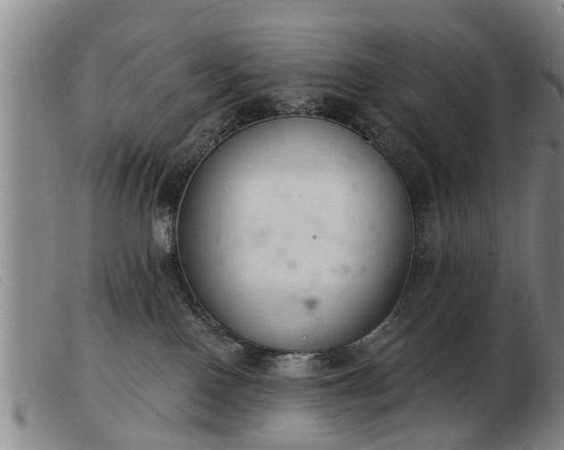 X0000103400090200809191532