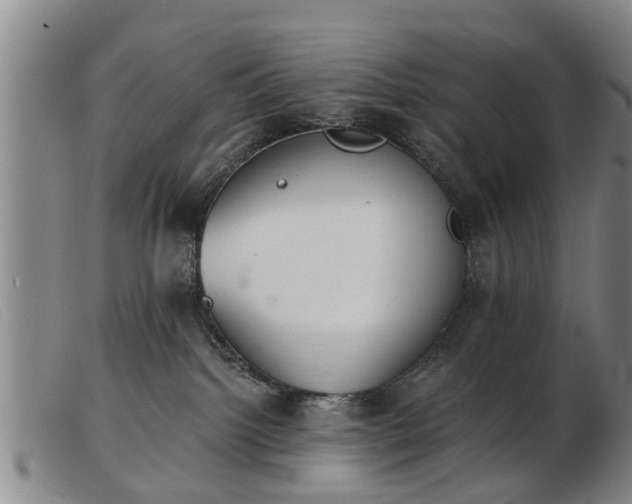 X0000103400092200809191532