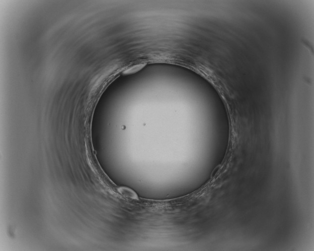 X0000103400097200809191531