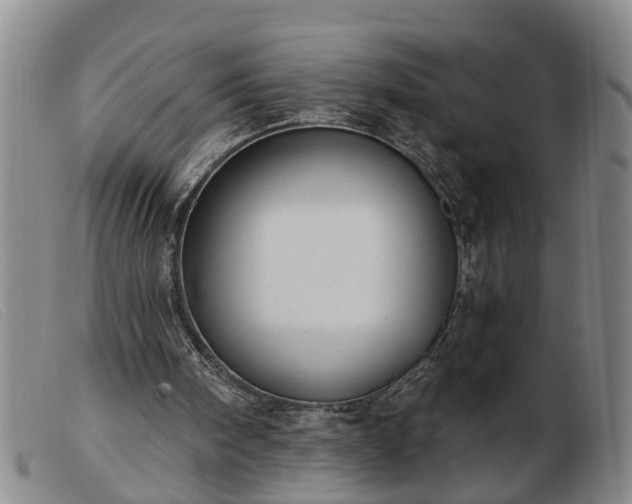 X0000103400098200809191531