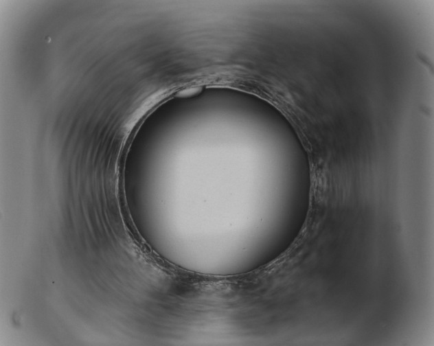 X0000103400100200809191531