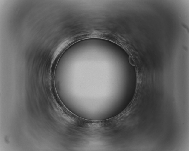 X0000103400102200809191531