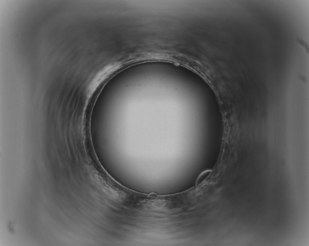 X0000103400104200809191531