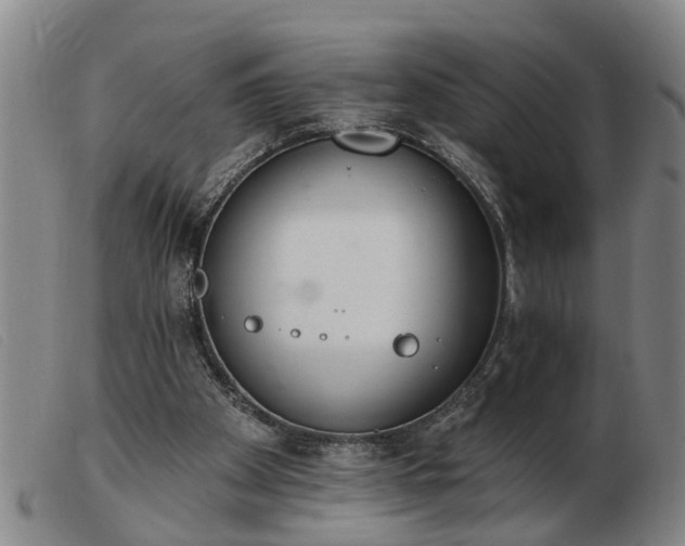 X0000103400105200809191531