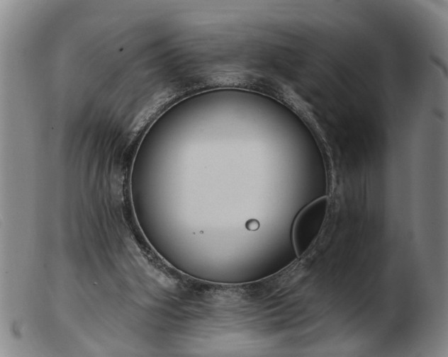 X0000103400106200809191531