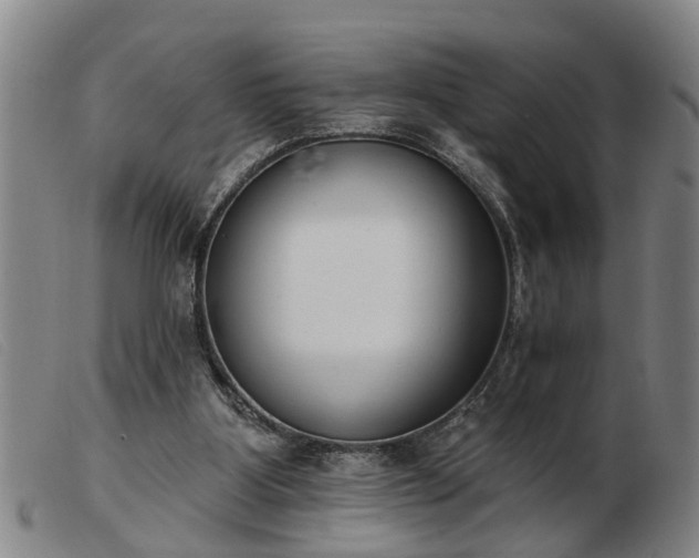 X0000103400107200809191531