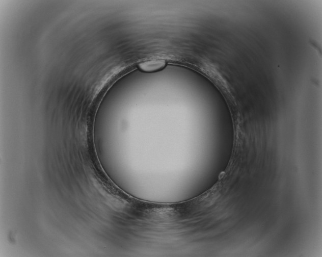 X0000103400108200809191531