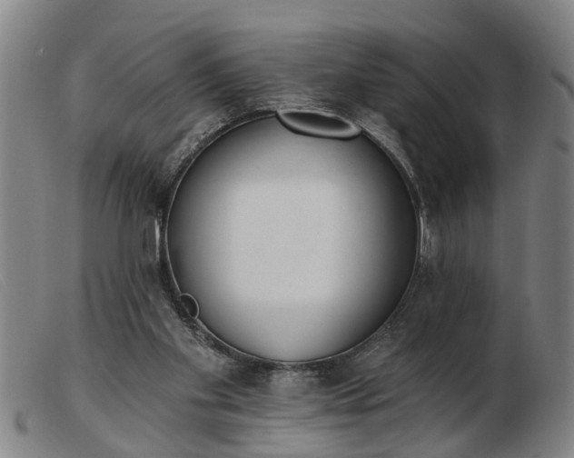 X0000103400109200809191531