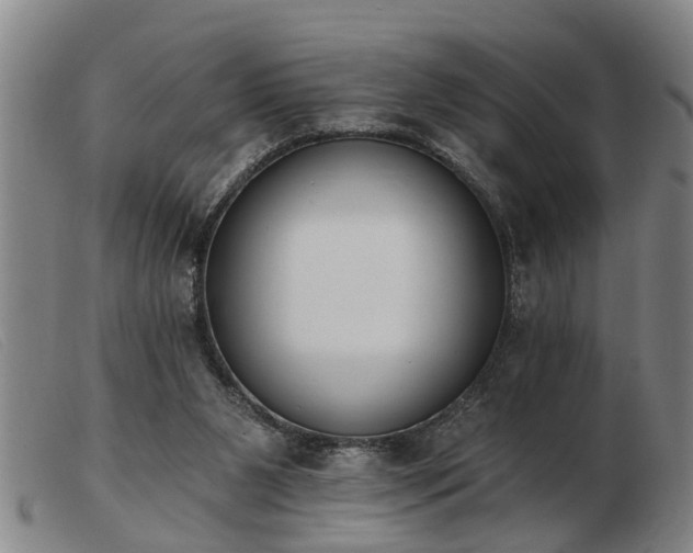 X0000103400111200809191531