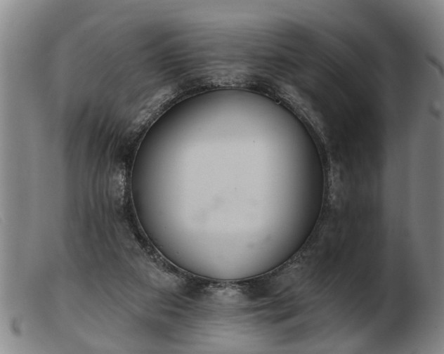 X0000103400113200809191531