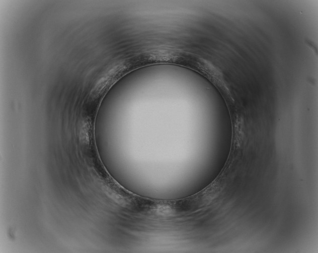 X0000103400114200809191531