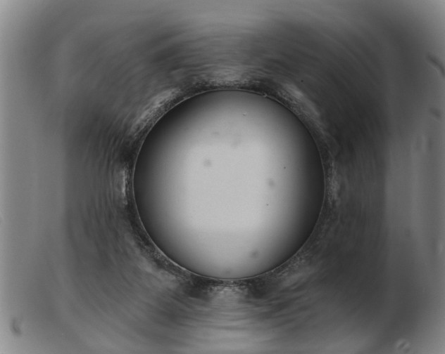 X0000103400115200809191531