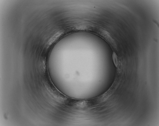 X0000103400116200809191531