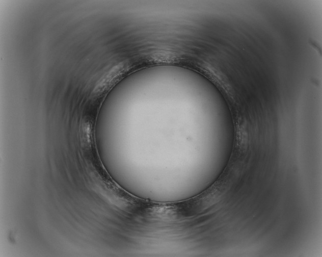 X0000103400117200809191531