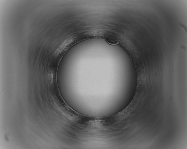 X0000103400120200809191531