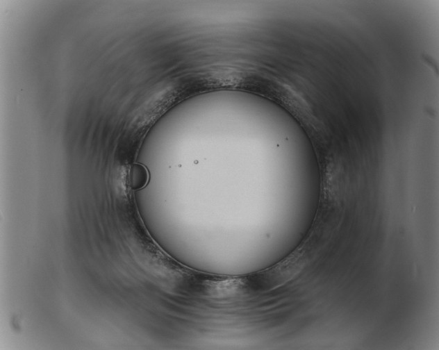 X0000103400122200809191531