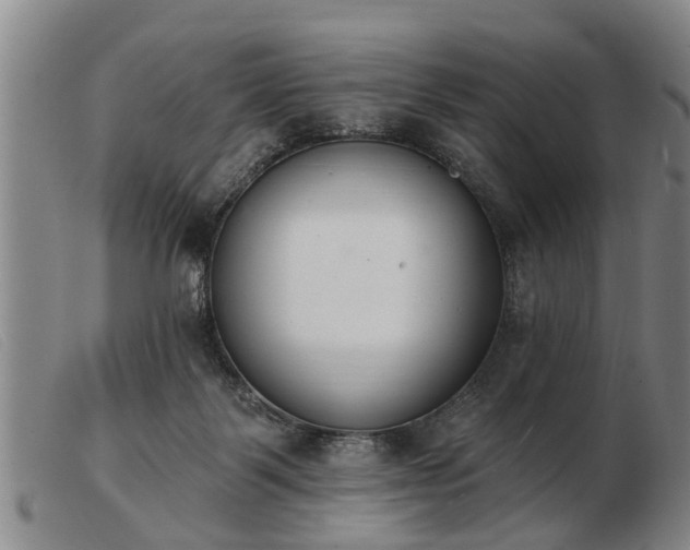 X0000103400123200809191531