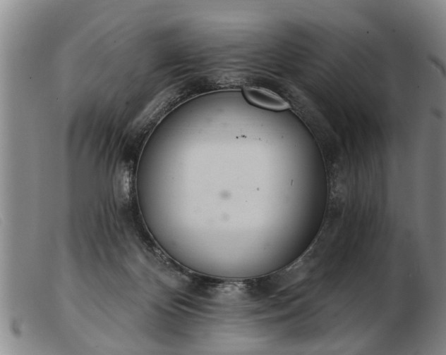 X0000103400124200809191531