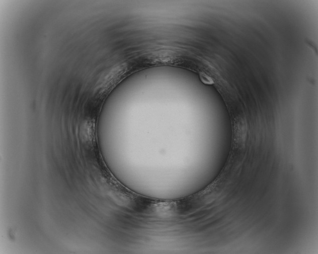 X0000103400126200809191531