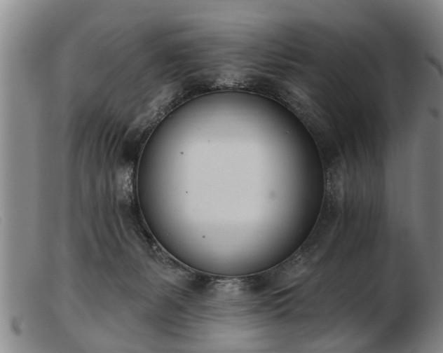 X0000103400127200809191531