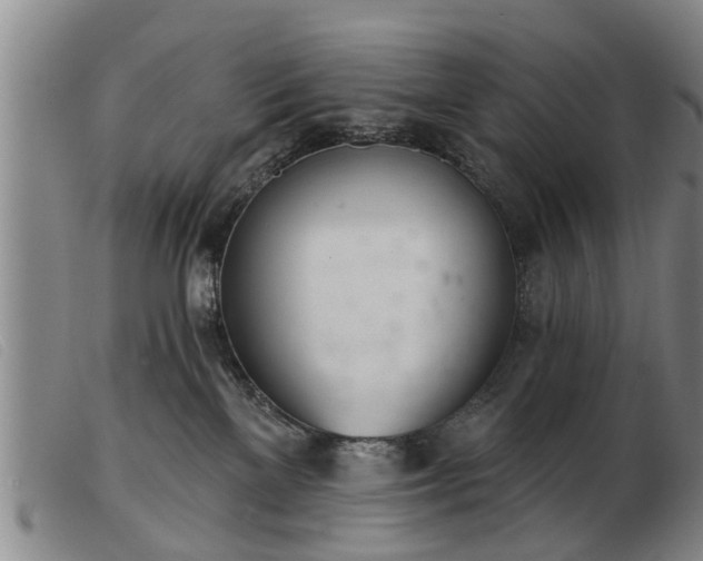 X0000103400137200809191530