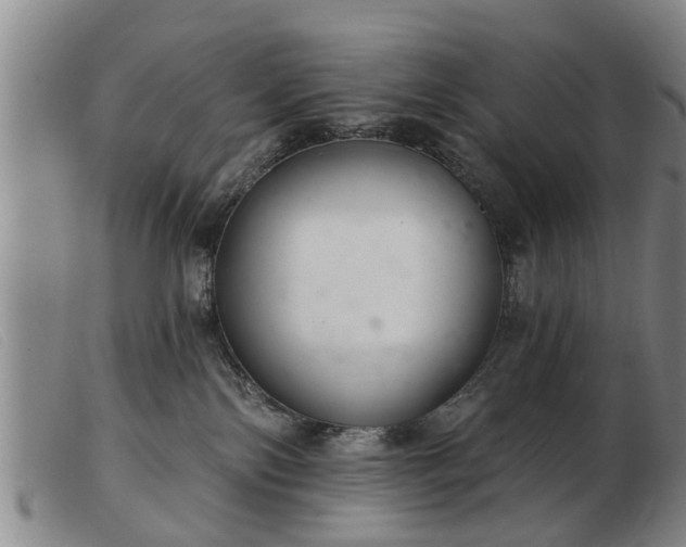 X0000103400138200809191530