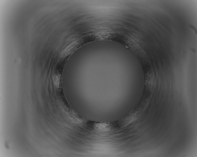 X0000103400139200809191530