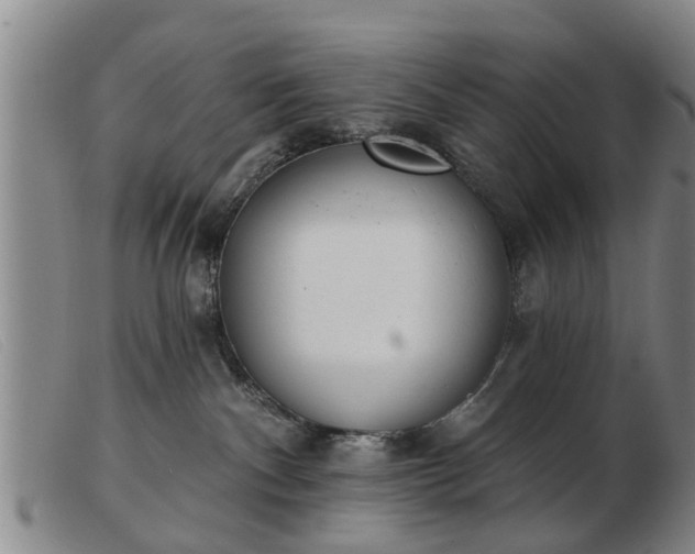 X0000103400140200809191530