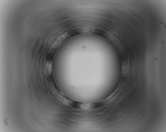 X0000103400142200809191530