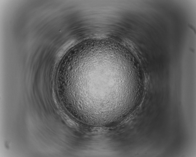 X0000103400145200809191530